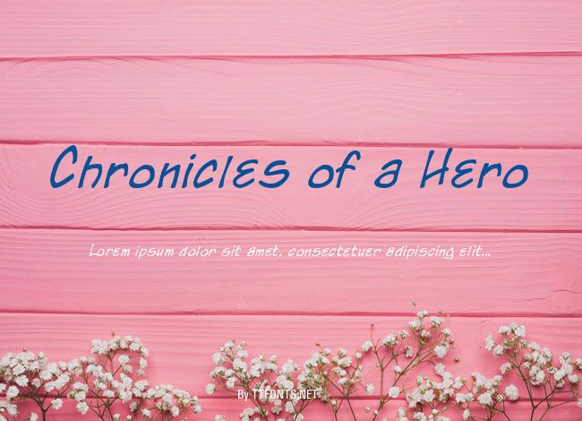 Chronicles of a Hero example